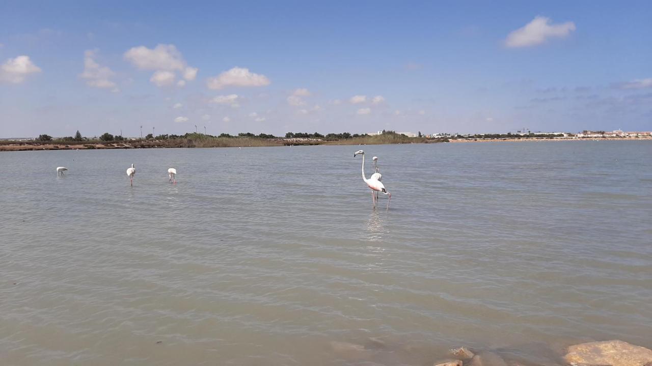 Casa Salinas